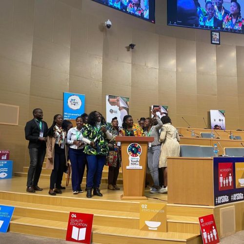 African Youth SDG Summit